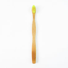 Biodegradable Bamboo Toothbrush