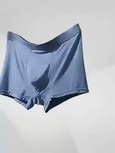 Men's Ice Silk Briefs Boxers (Pack of 5)